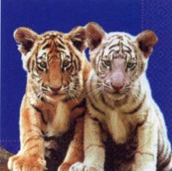 Tigers blue